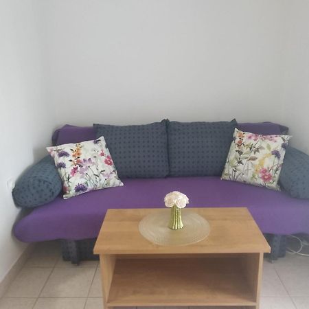 Apartment Savic 斯塔利格拉德-帕克利尼卡 外观 照片