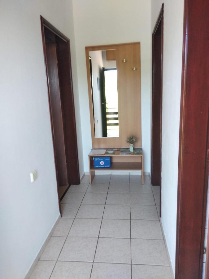 Apartment Savic 斯塔利格拉德-帕克利尼卡 外观 照片