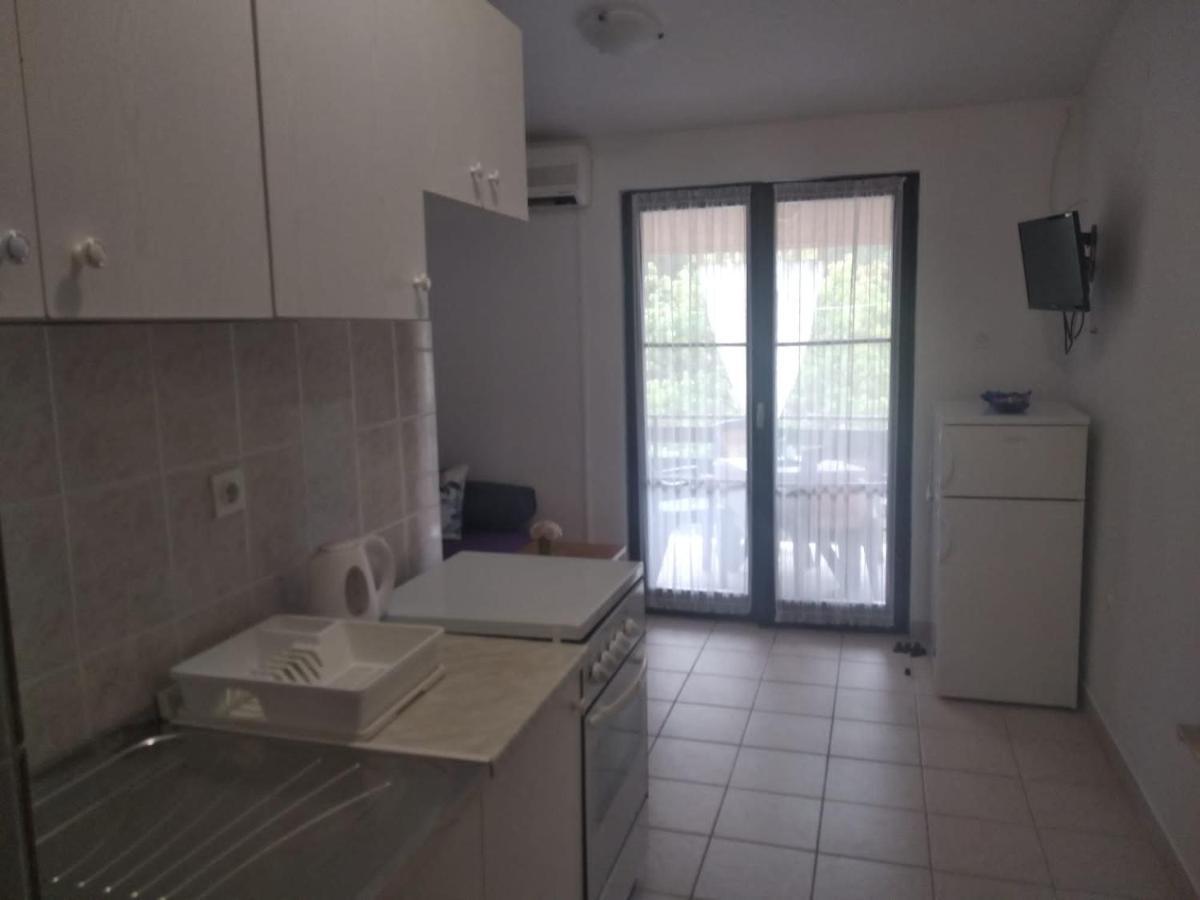 Apartment Savic 斯塔利格拉德-帕克利尼卡 外观 照片