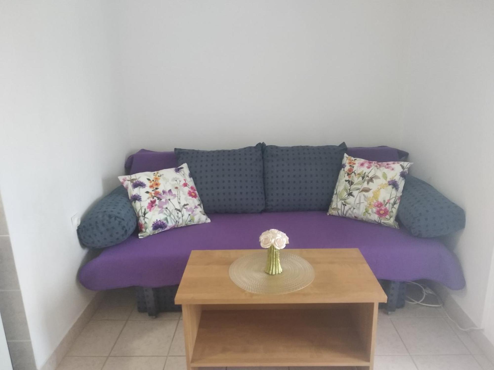 Apartment Savic 斯塔利格拉德-帕克利尼卡 外观 照片