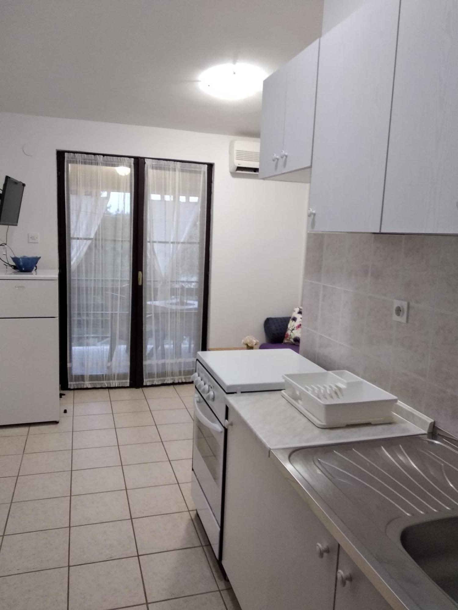 Apartment Savic 斯塔利格拉德-帕克利尼卡 外观 照片