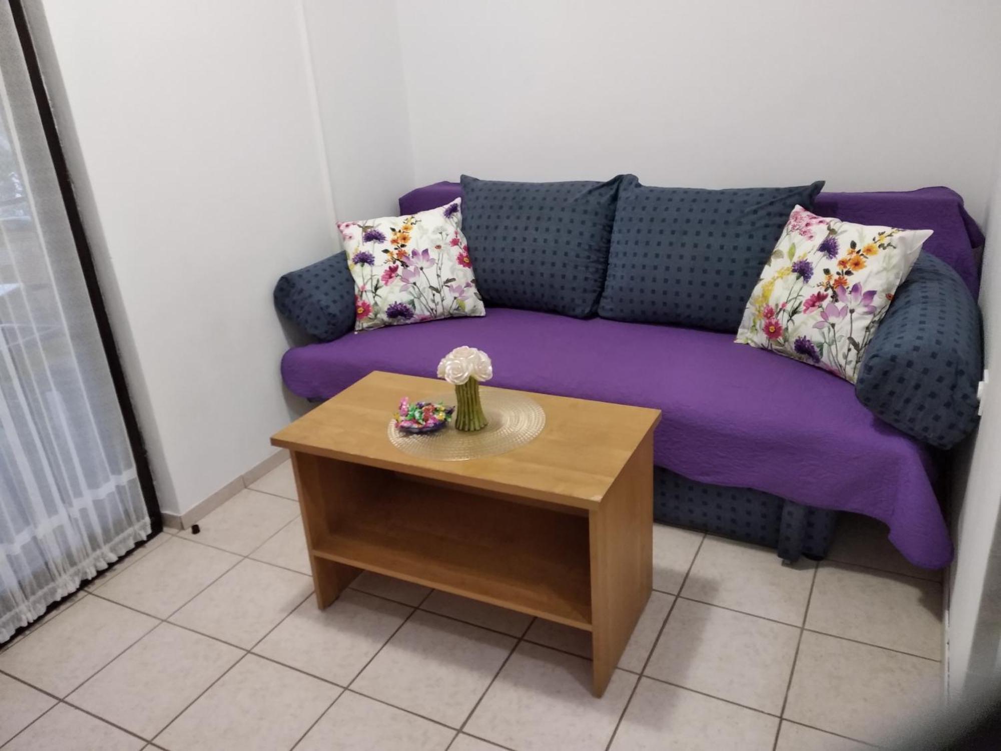 Apartment Savic 斯塔利格拉德-帕克利尼卡 外观 照片