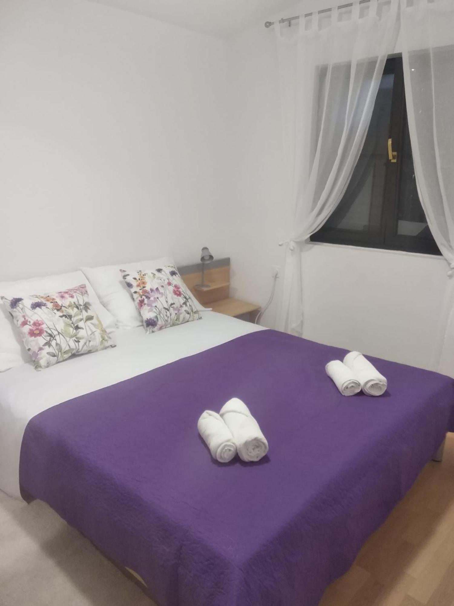 Apartment Savic 斯塔利格拉德-帕克利尼卡 外观 照片